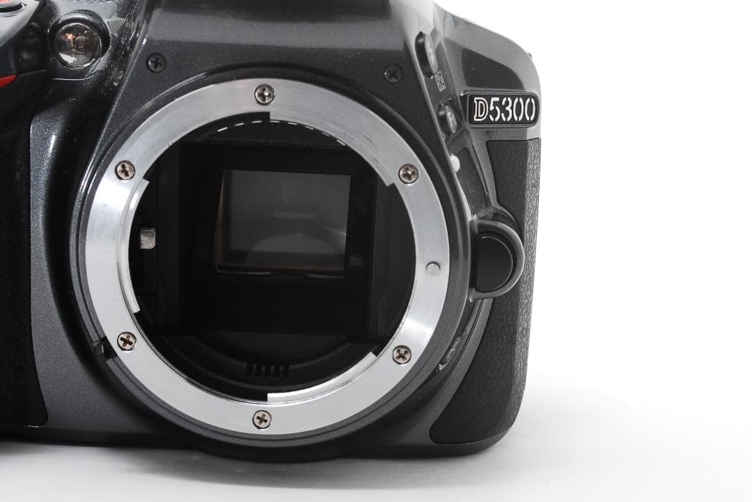 Nikon D5300 高画質Wi-Fi✨標準ズーム付 一眼レフ