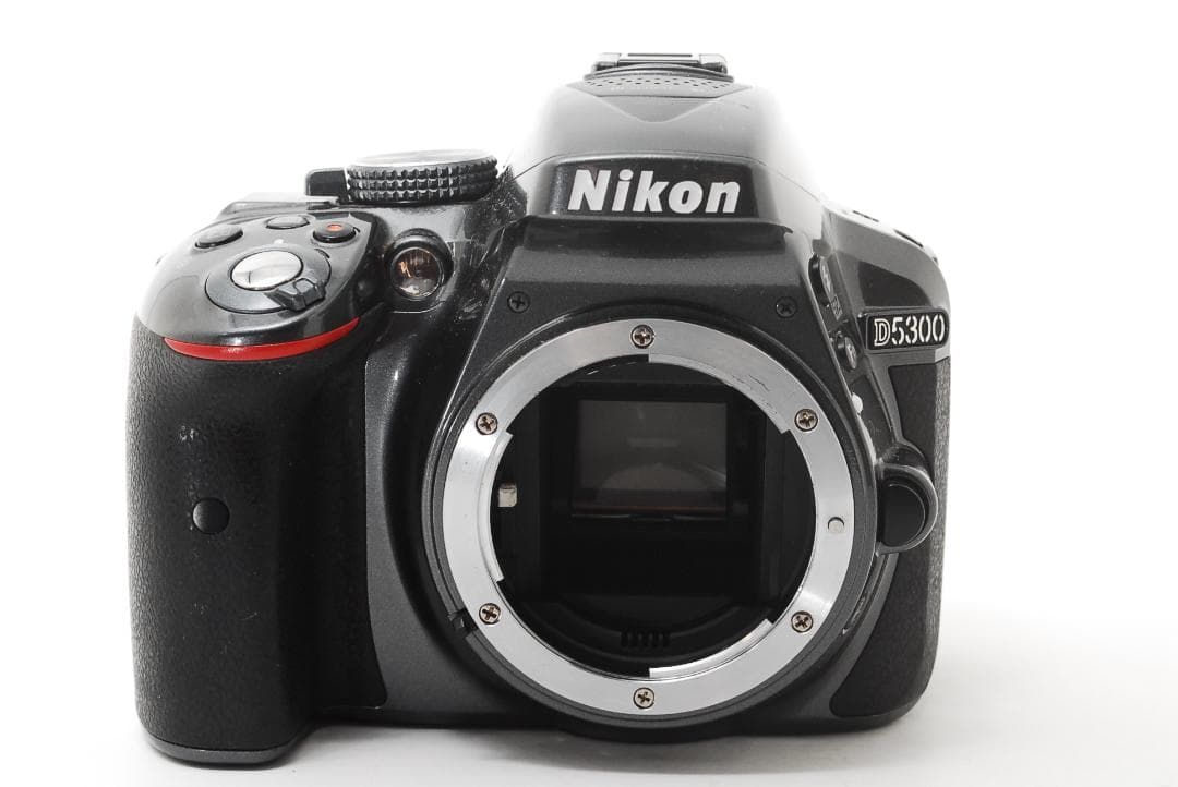 Nikon D5300 高画質Wi-Fi✨標準ズーム付 一眼レフ