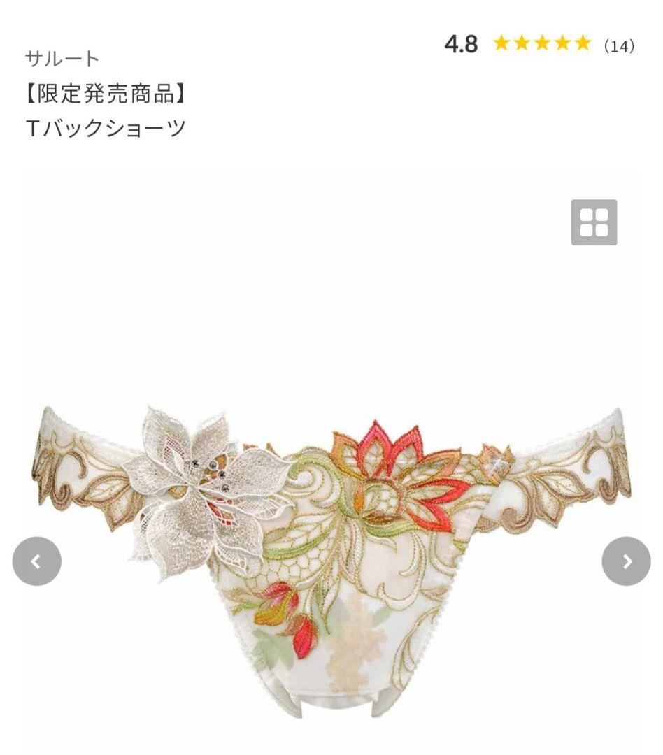 最終値下げ　ワコール　サルート40g　受注販売品 G65/M