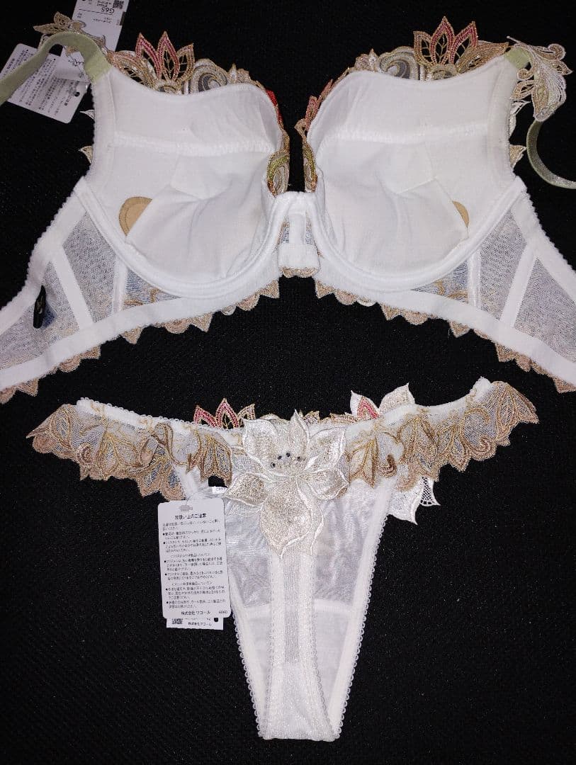 最終値下げ　ワコール　サルート40g　受注販売品 G65/M