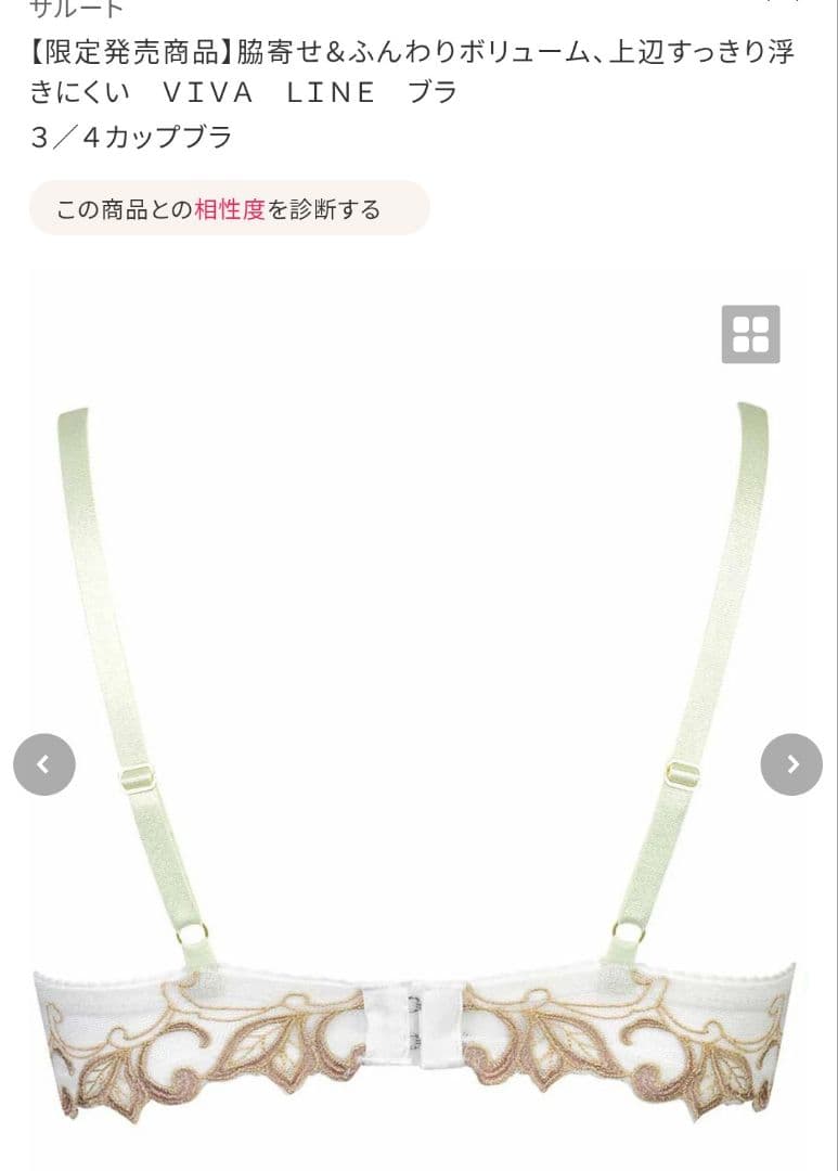 最終値下げ　ワコール　サルート40g　受注販売品 G65/M