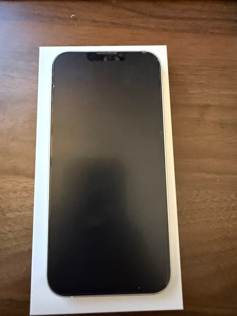 【早い者勝ち】iPhone13 本体のみ