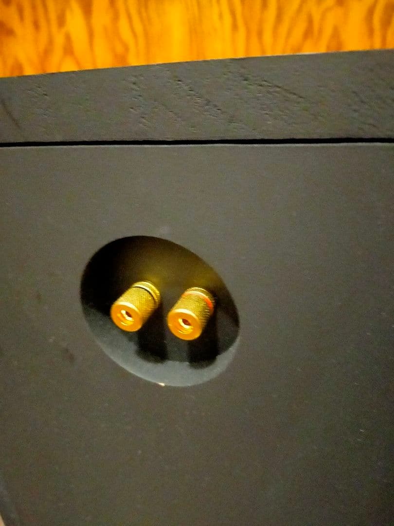 Denon ユニット使用 16cm ウーファー バックロードホーン