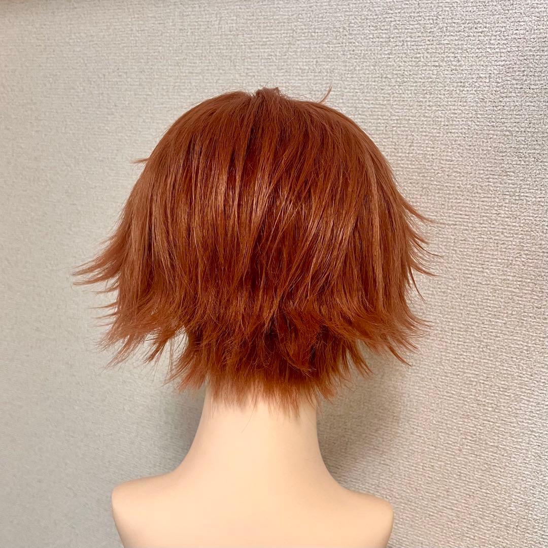 【即納】ツイステ エース・トラッポラ ウィッグ