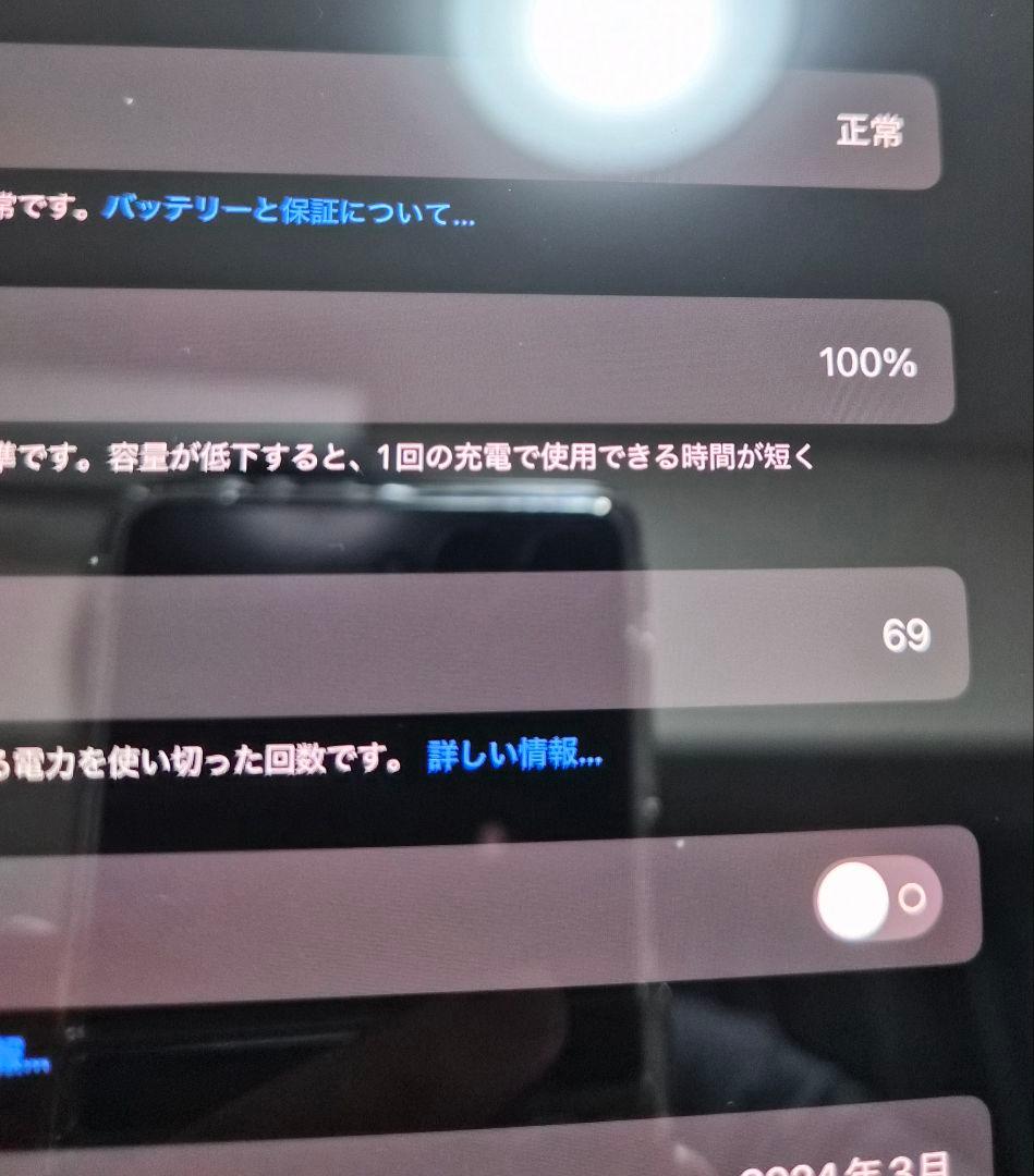 Apple iPad Pro M4 13インチ 256GB 100%