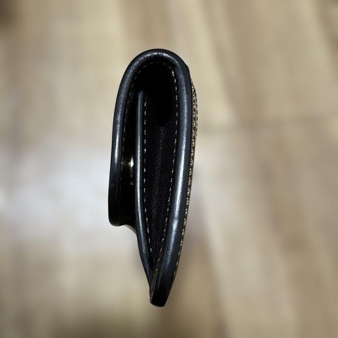 ワイルドスワンズ