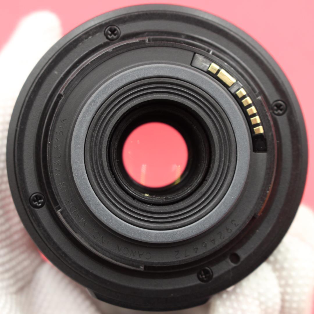 ❤️手ブレ補正付き❤️Canon 55-250mm IS❤️遠くもキレイ❤️