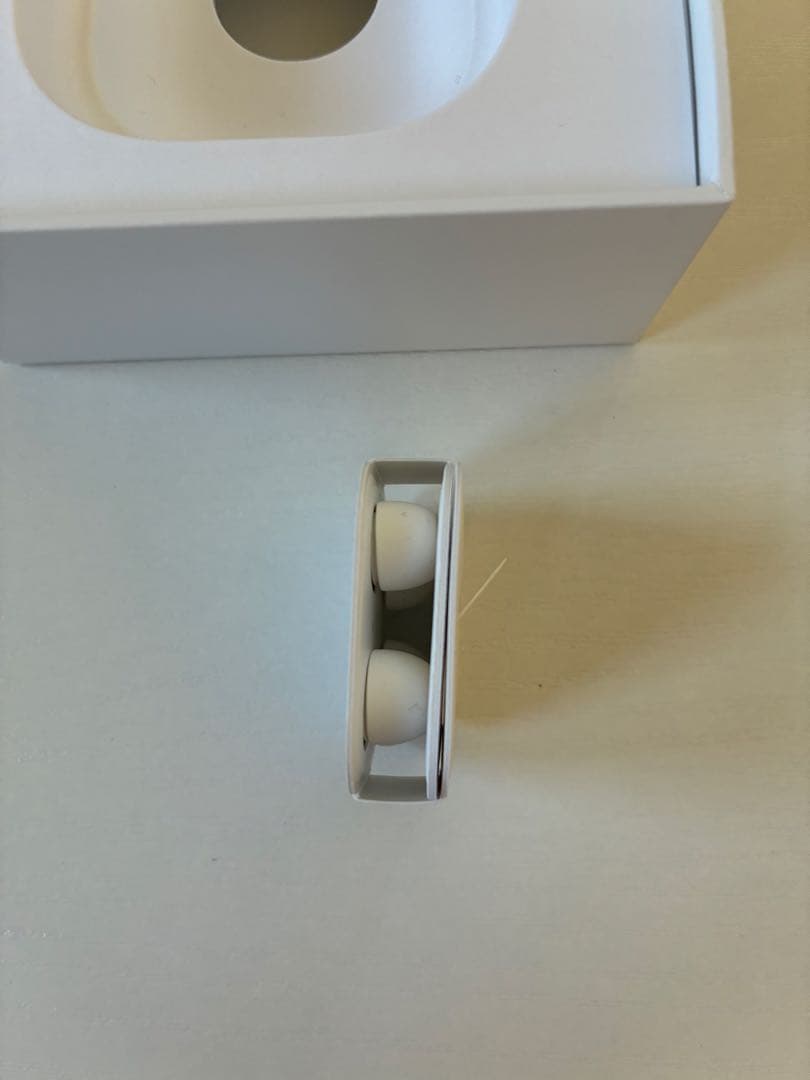 AirPods Pro ＋ エスターバニーケース セット