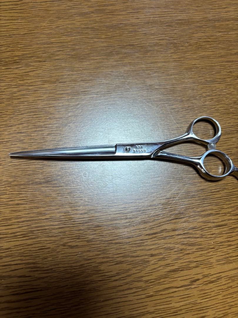 レイコスモス131光RAY COSMOS