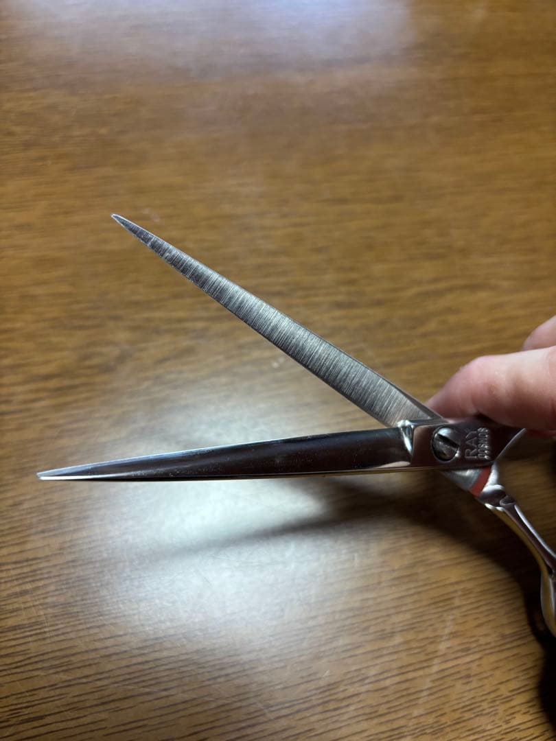 レイコスモス131光RAY COSMOS