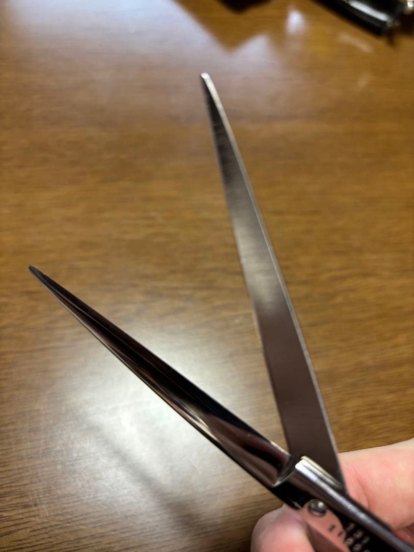 レイコスモス131光RAY COSMOS