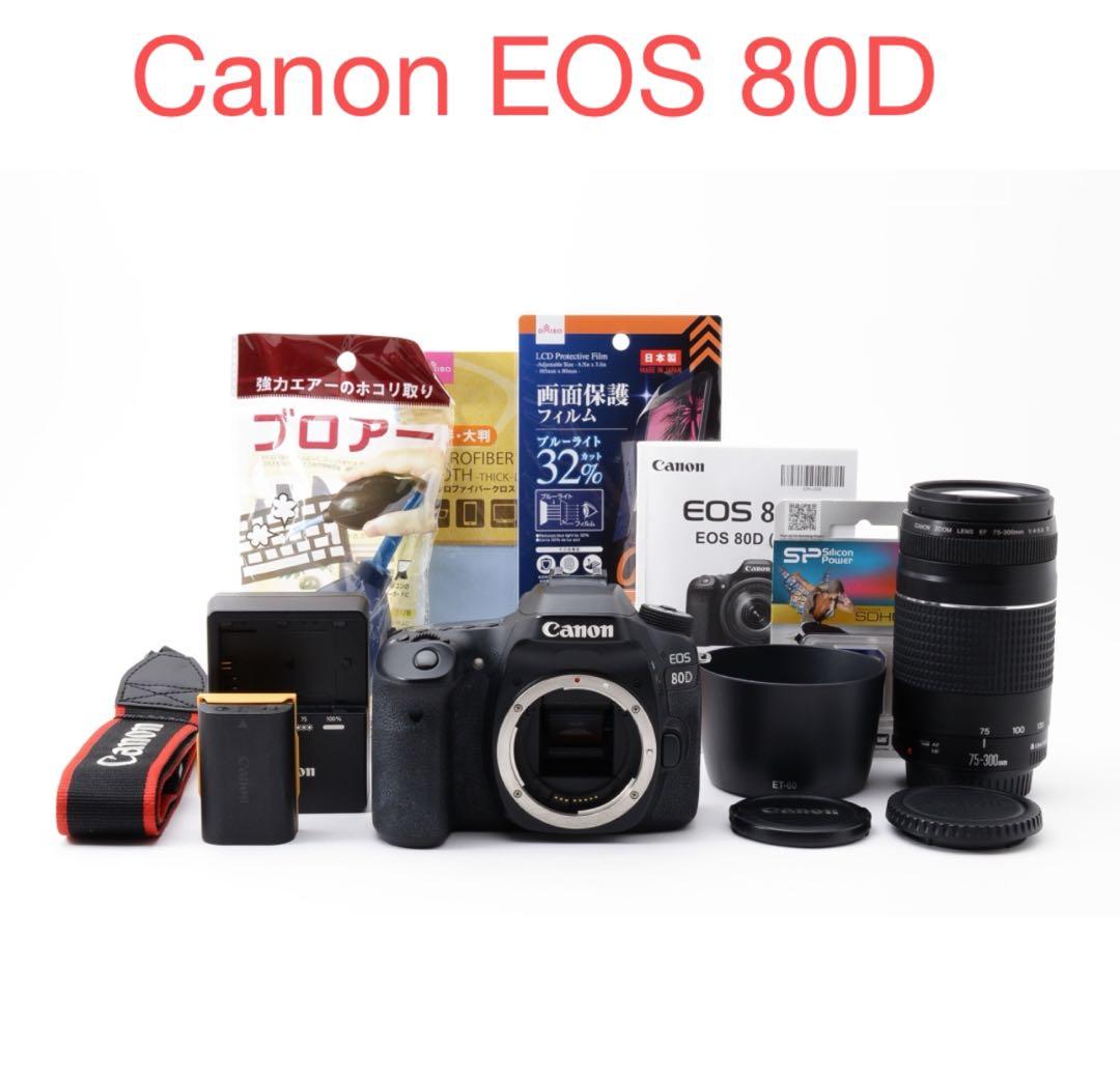 保証付き/デジタル一眼レフカメラ Canon EOS 80D/望遠レンズセット