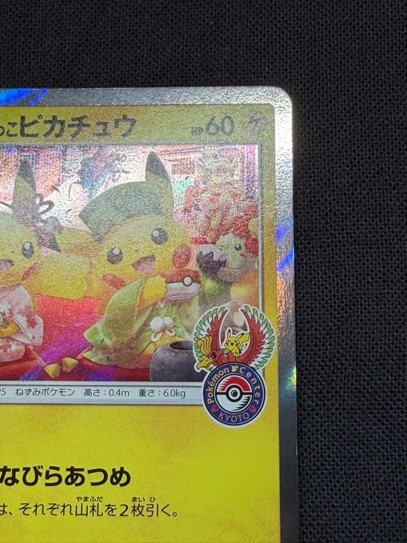 あさ お茶会ごっこピカチュウ：はなびらのまいキャンペーン PROMO