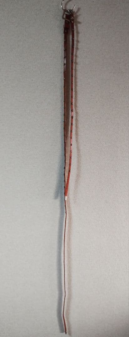 ソロイスト　ベルト2本セット