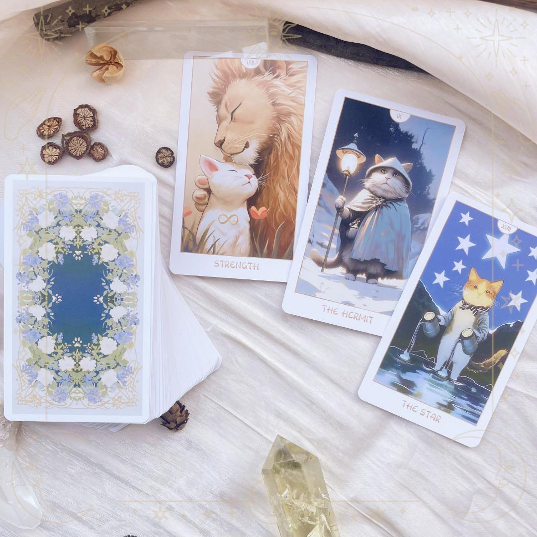 マーちゃん★タロット