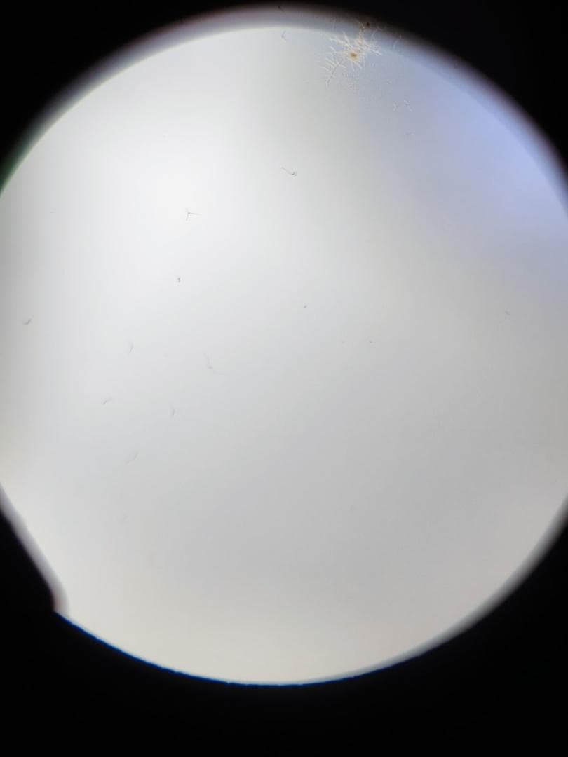 【黒死病対策】【内臓電池交換】PENTAX K-30 ブラック 6130枚