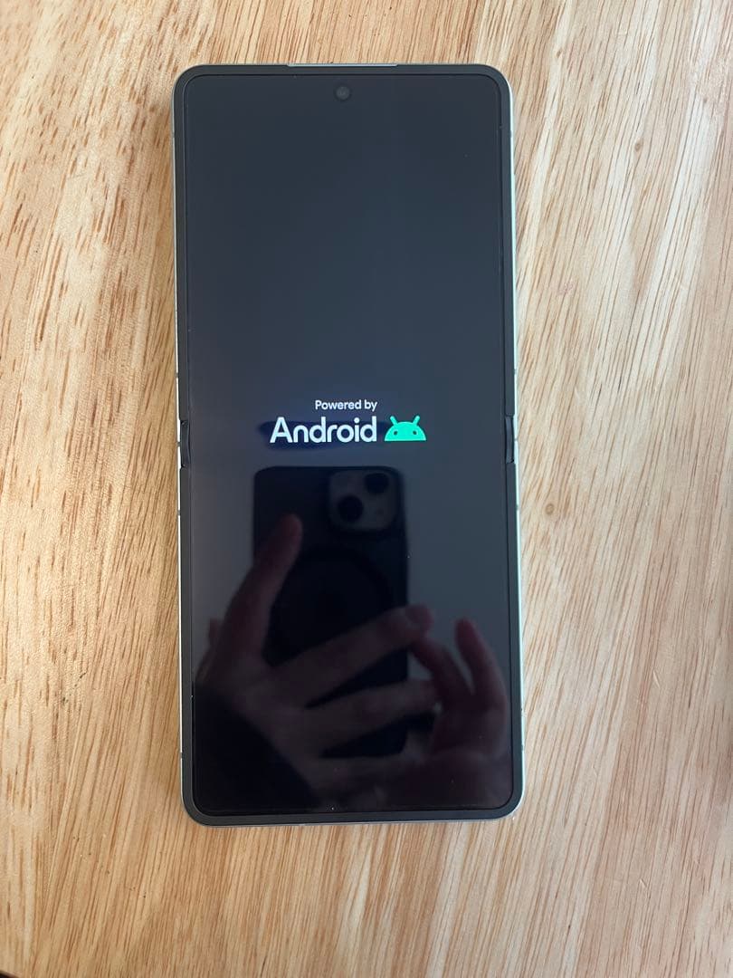 Samsung Galaxy Z Flip7 512gb ミント　本体