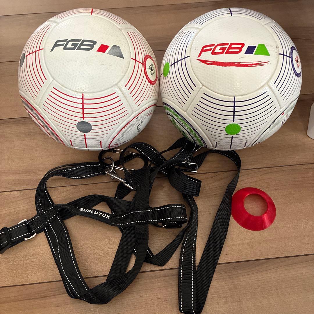 フットゴルフボール　FGB サッカーボール 2個セット ストラップ　ティー付き