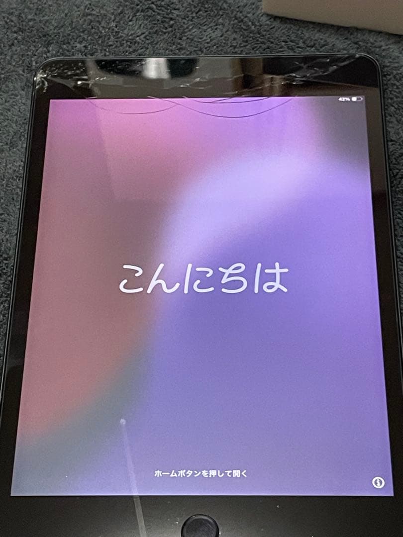 【画面割れ、欠け】iPad mini5/箱付き