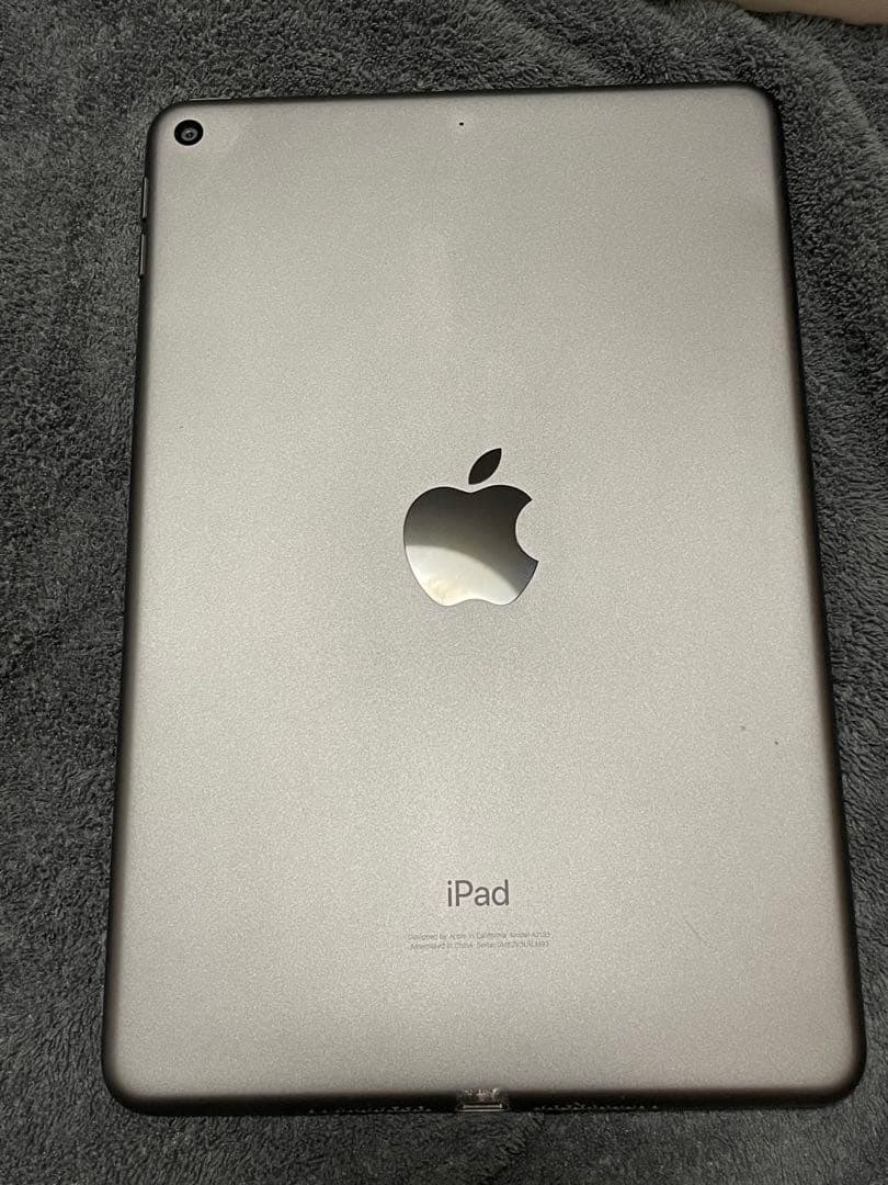 【画面割れ、欠け】iPad mini5/箱付き