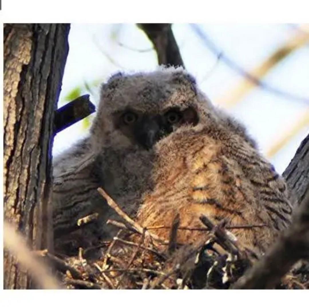 即購入OK！SONYカメラをお持ちの方におすすめな望遠レンズです。サポート付き！