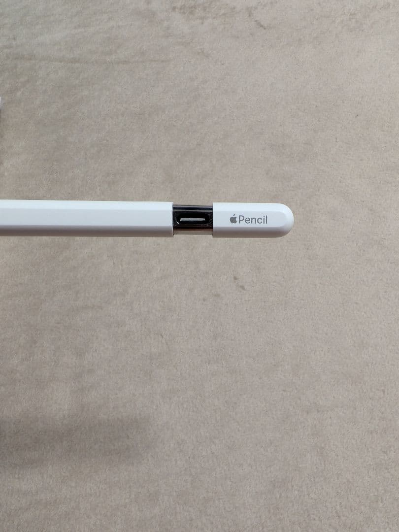 Apple Pencil ホワイト (USB-C)