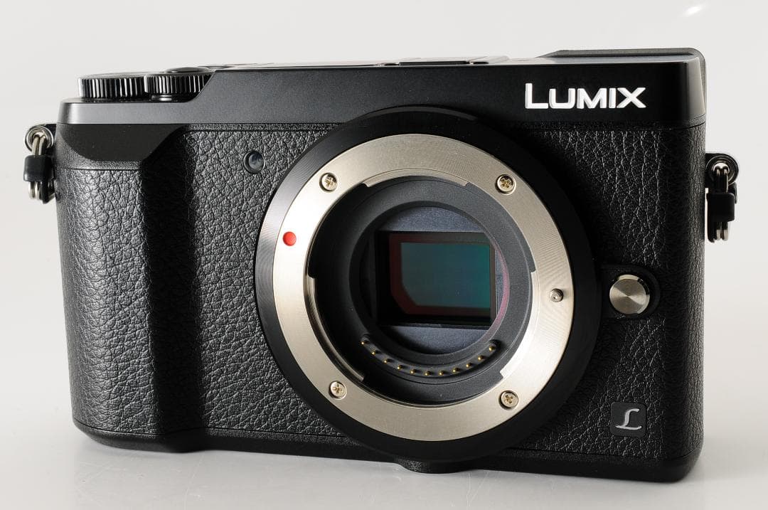 【美品 箱付】パナソニック Panasonic LUMIX DMC-GX7MK2