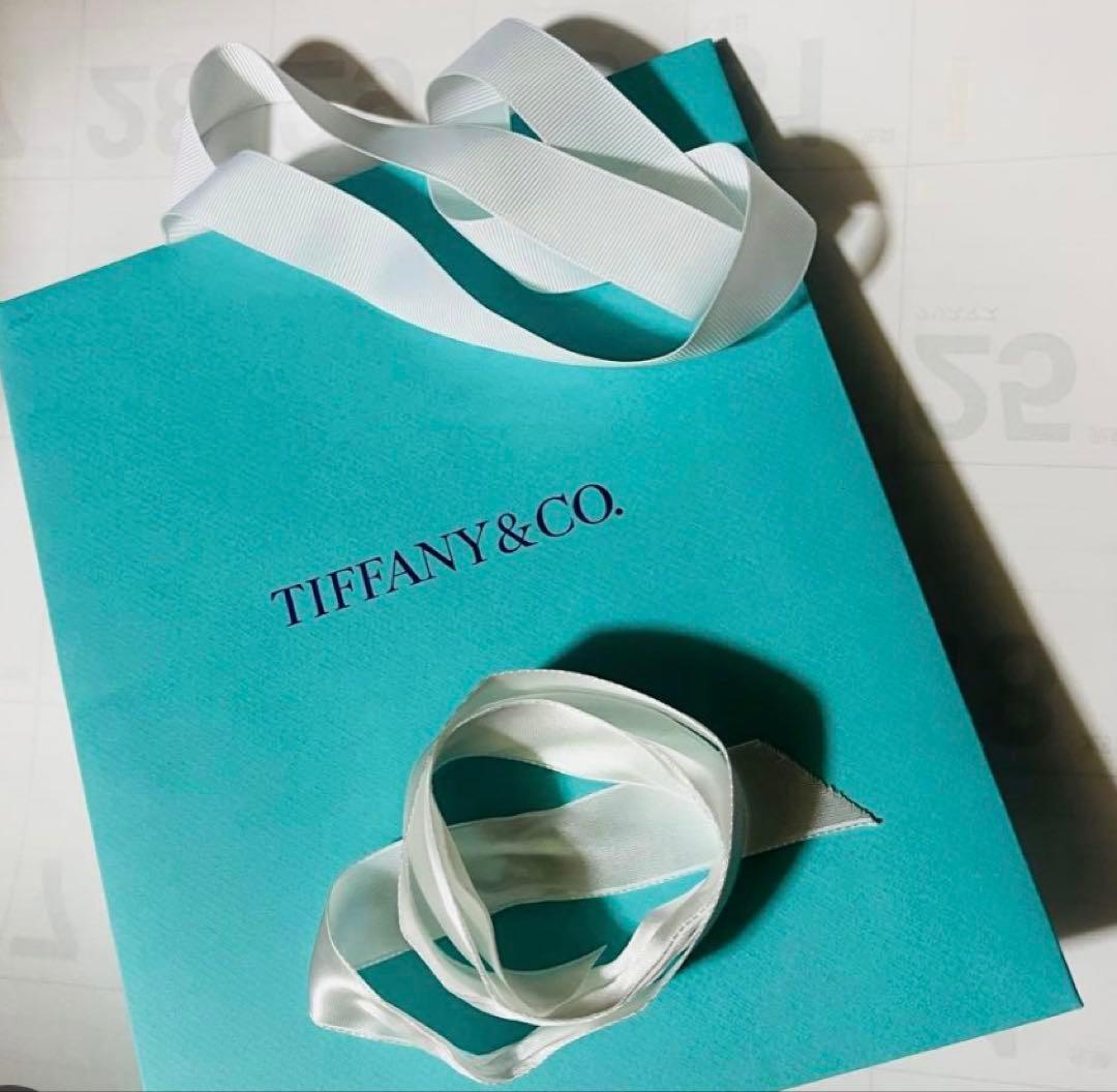 【鑑定必須・美品】ティファニー メトロ フルエタニティリング　（Gカード有り）