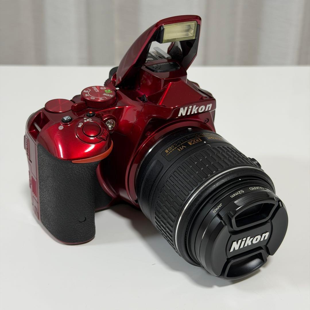 【バッテリー無し】Nikon D5500 ダブルズームキット