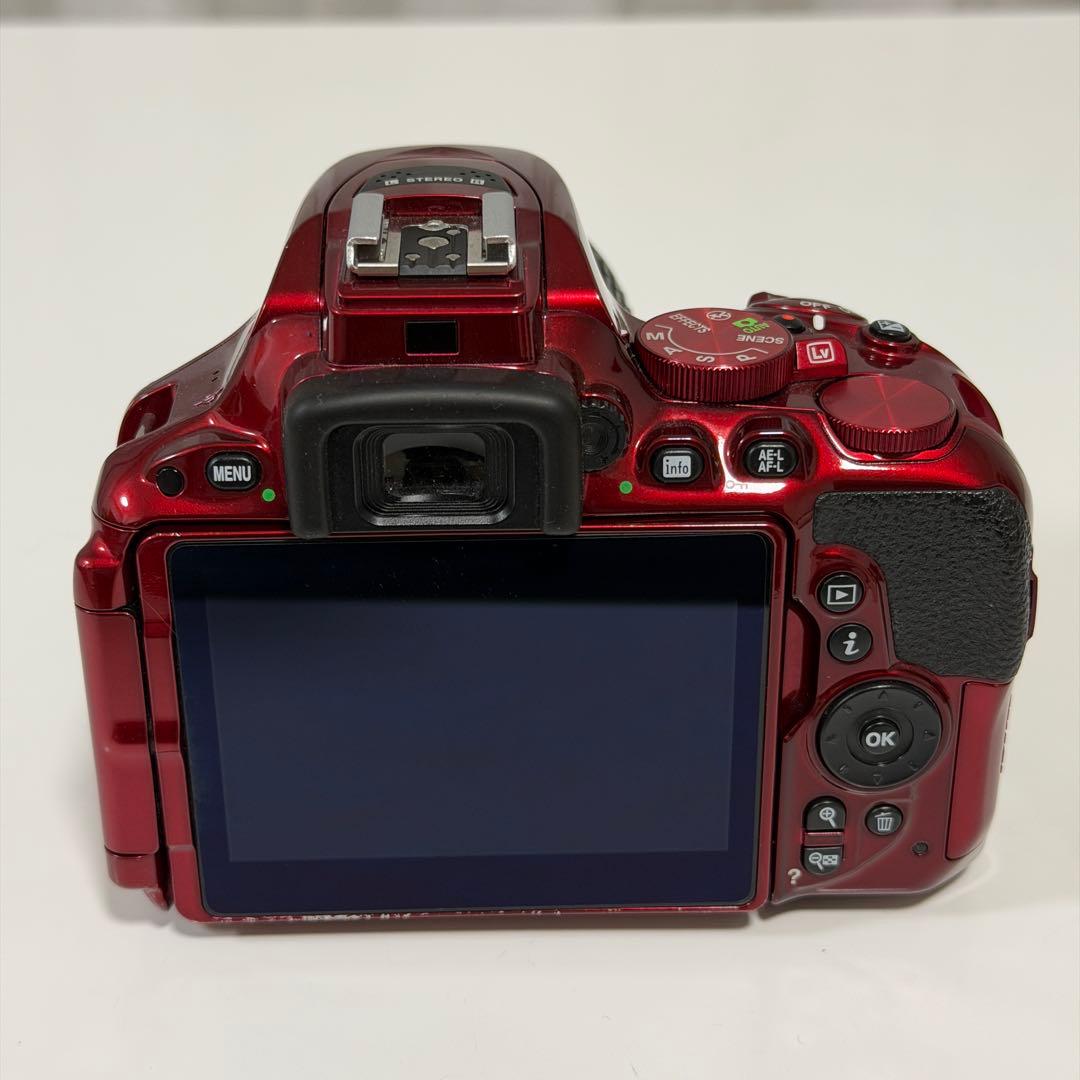 【バッテリー無し】Nikon D5500 ダブルズームキット