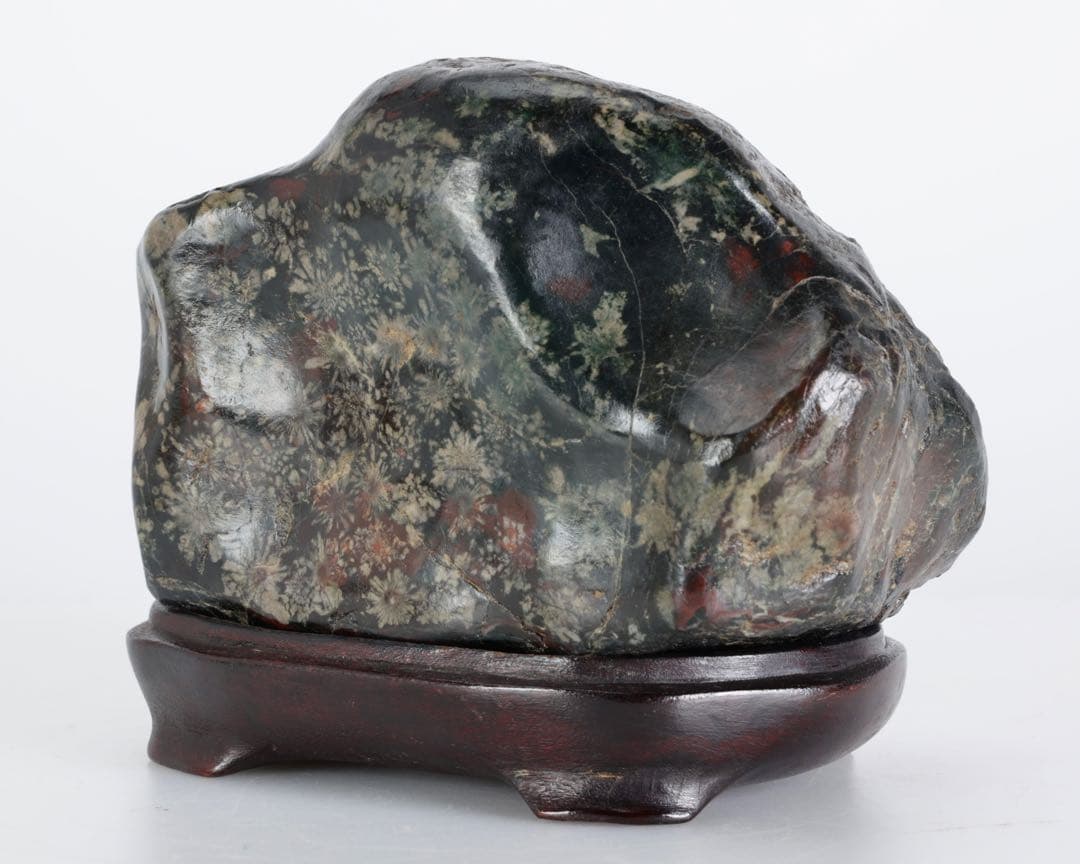 あ*げ様 根尾川産 六華　菊花石 小菊明瞭 台座・共箱付 鑑賞石 盆石 紋石 原