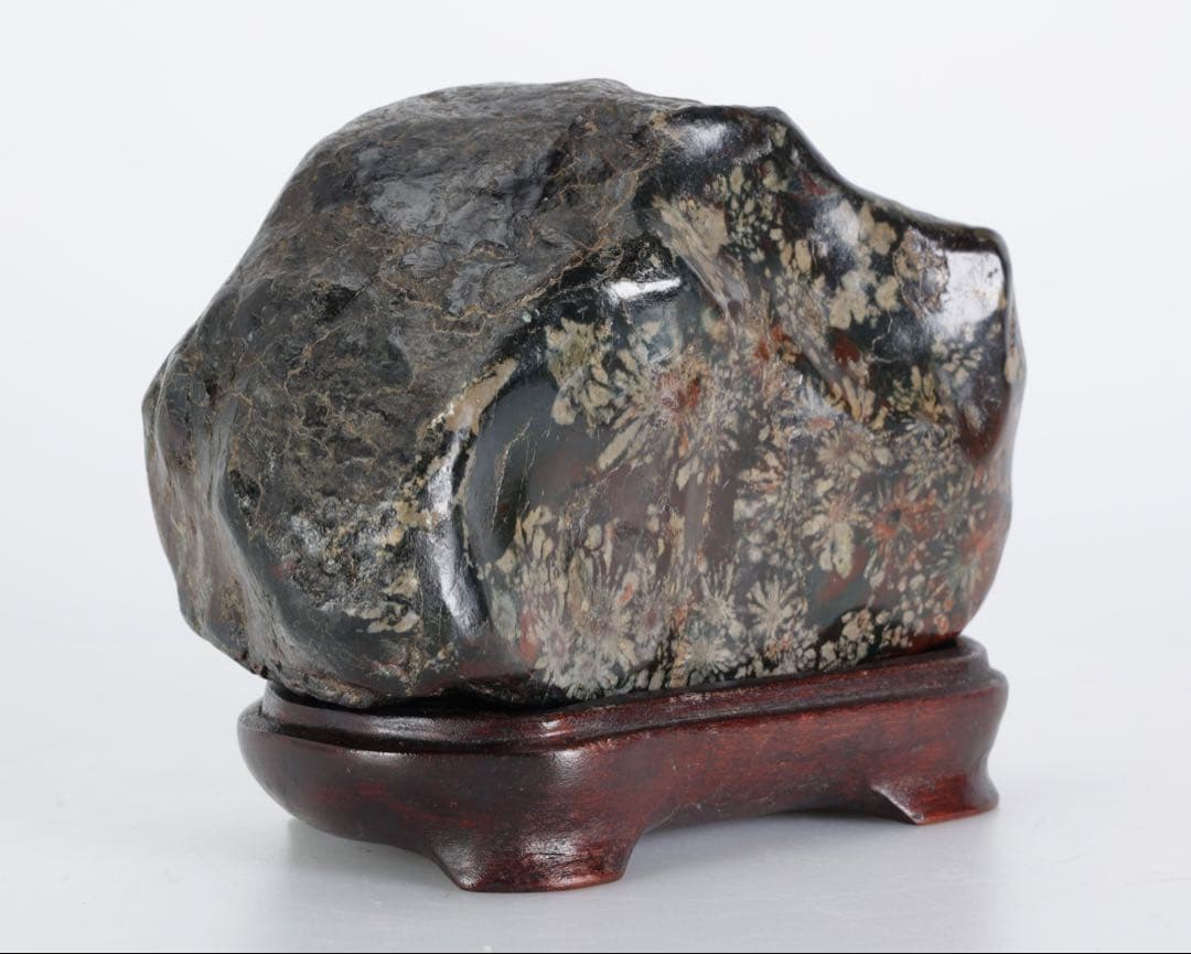 あ*げ様 根尾川産 六華　菊花石 小菊明瞭 台座・共箱付 鑑賞石 盆石 紋石 原