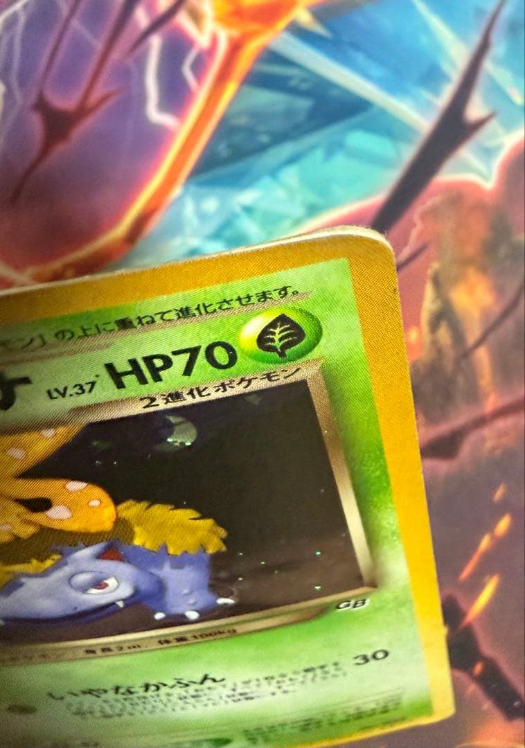 m*u様 わるいフシギバナ　モンスターボールホロ　旧裏