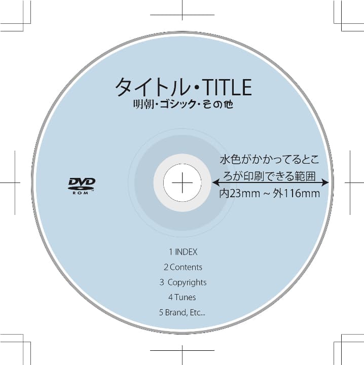 DVD−R太陽誘電後継品,業務用鏡面レーベル100枚・名入れ付き