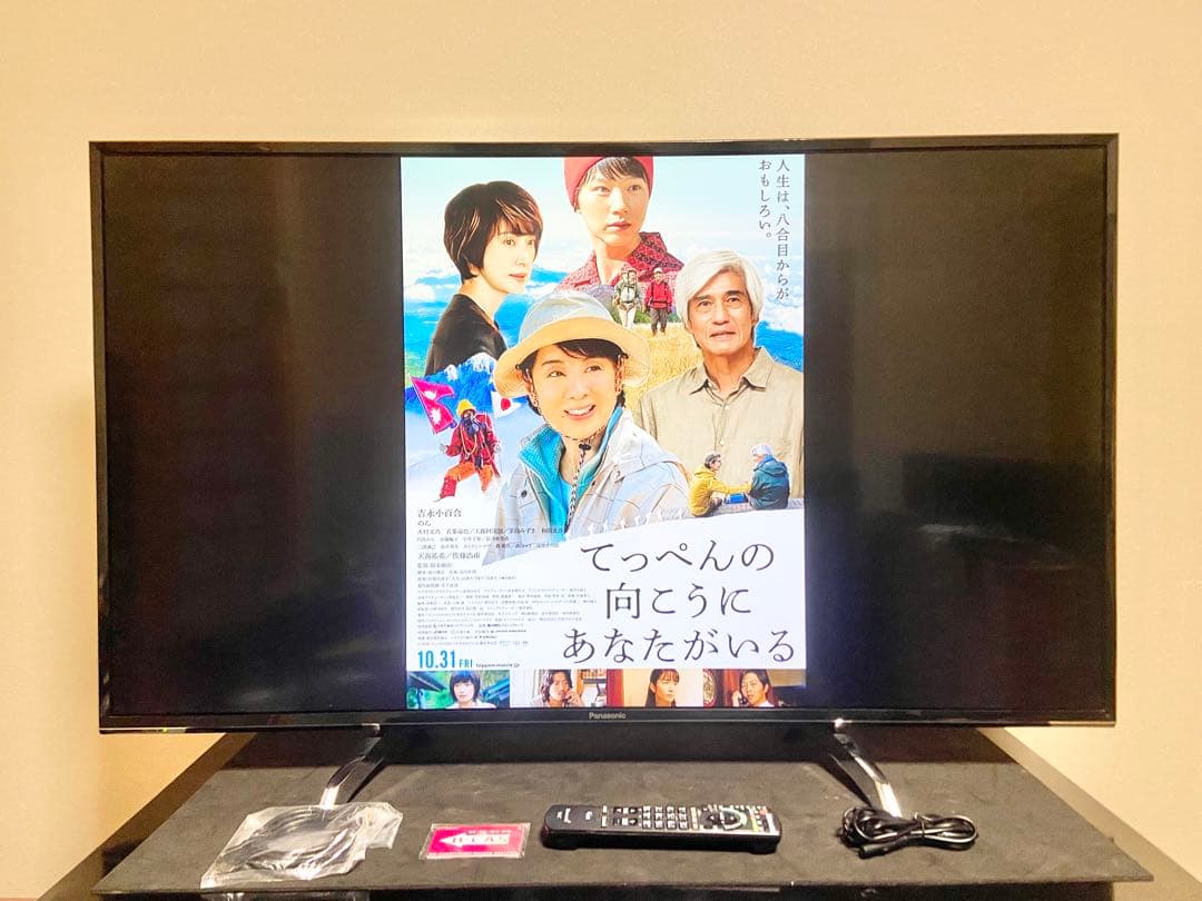 【今だけ優待価格】Panasonic VIERA 49V型4K・3チューナー