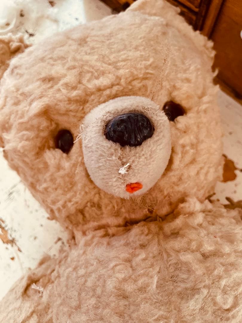 く*ん様 フランス　ヴィンテージベア　モコモコ♡⸝⸝⸝⸝ アンティークベア