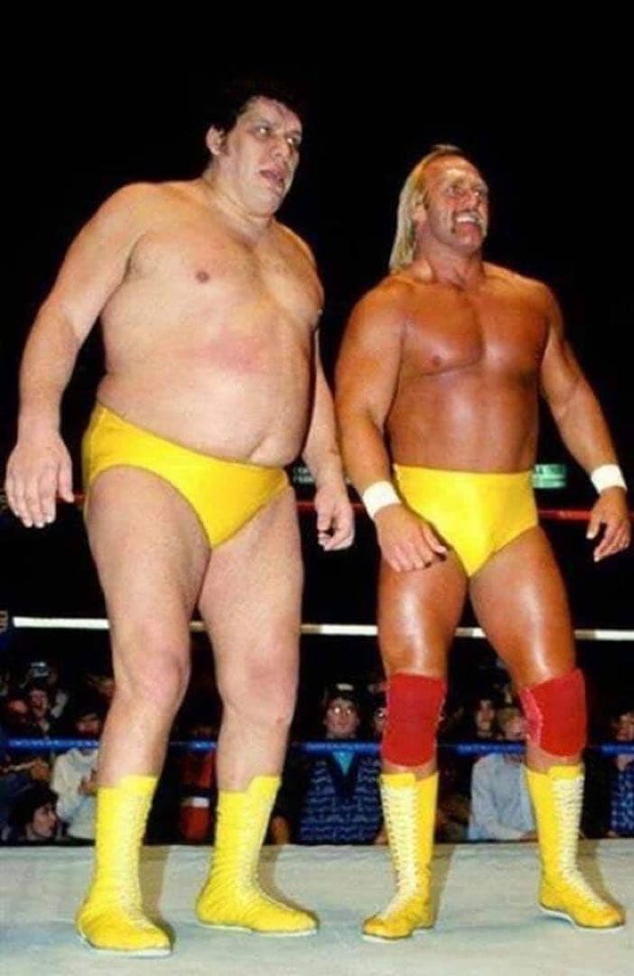 WWE プロレス ハルク ホーガン アンドレ フィギュア