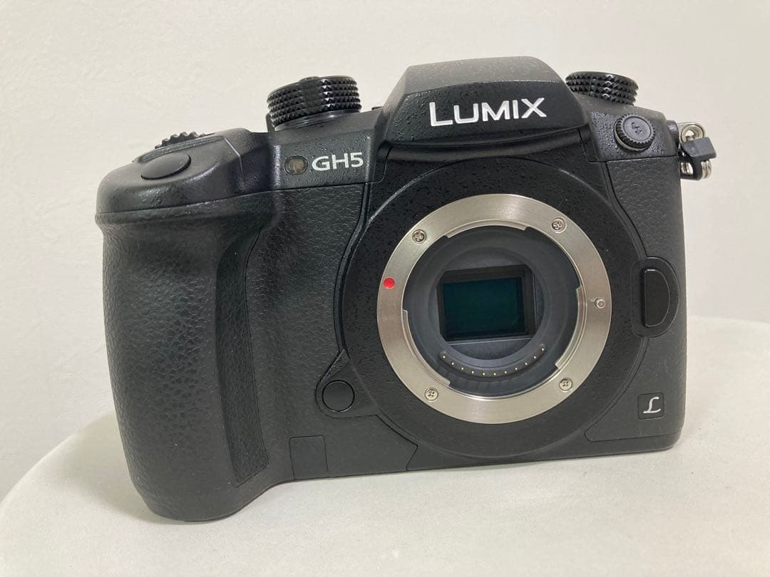 Panasonic LUMIX GH5本体＆標準ズームレンズ（12-60mm）