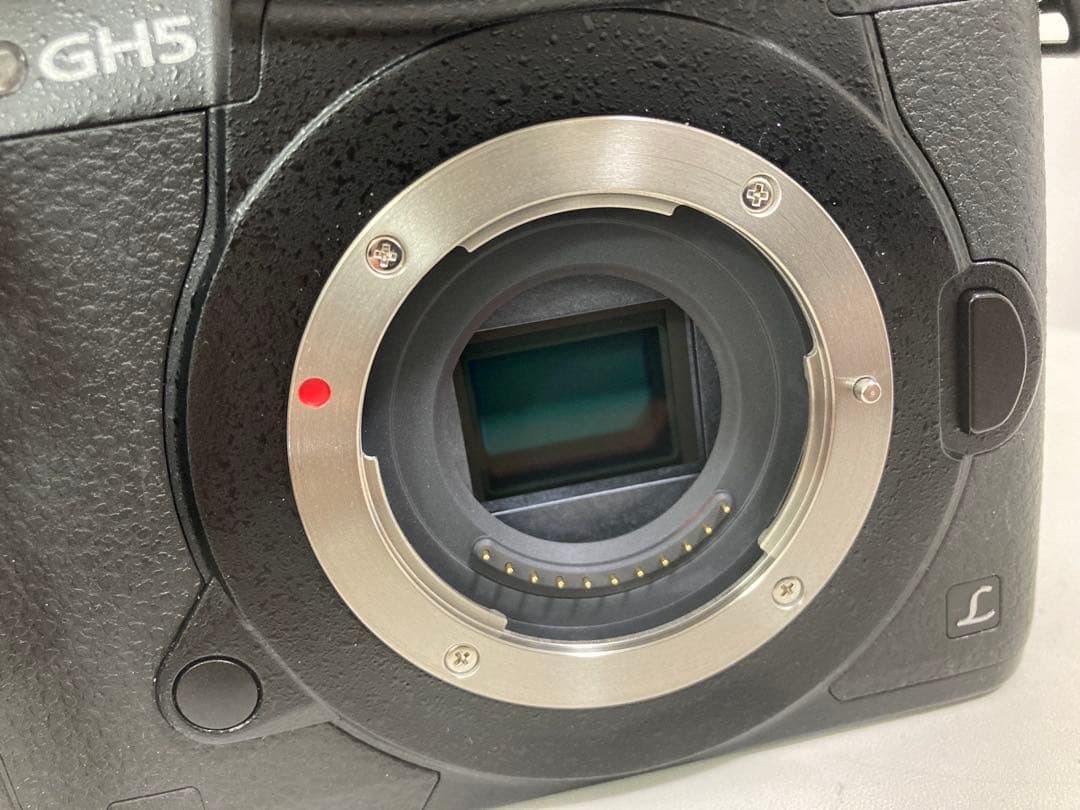 Panasonic LUMIX GH5本体＆標準ズームレンズ（12-60mm）