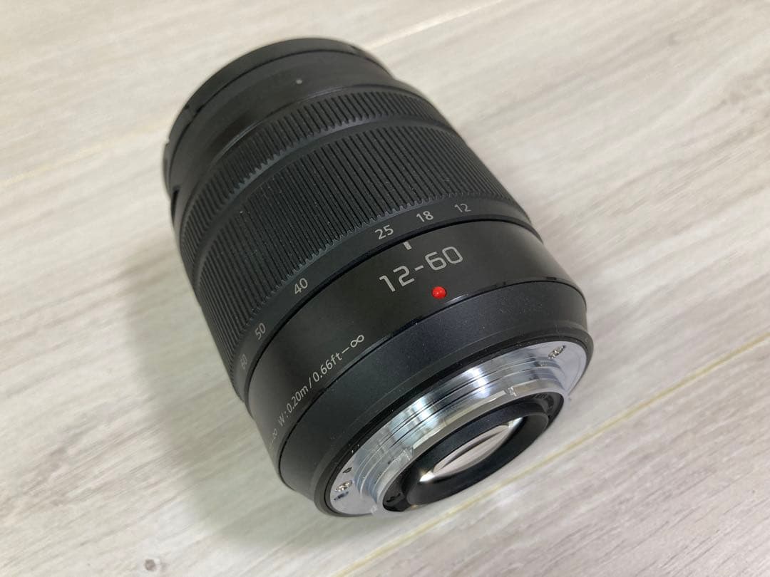 Panasonic LUMIX GH5本体＆標準ズームレンズ（12-60mm）