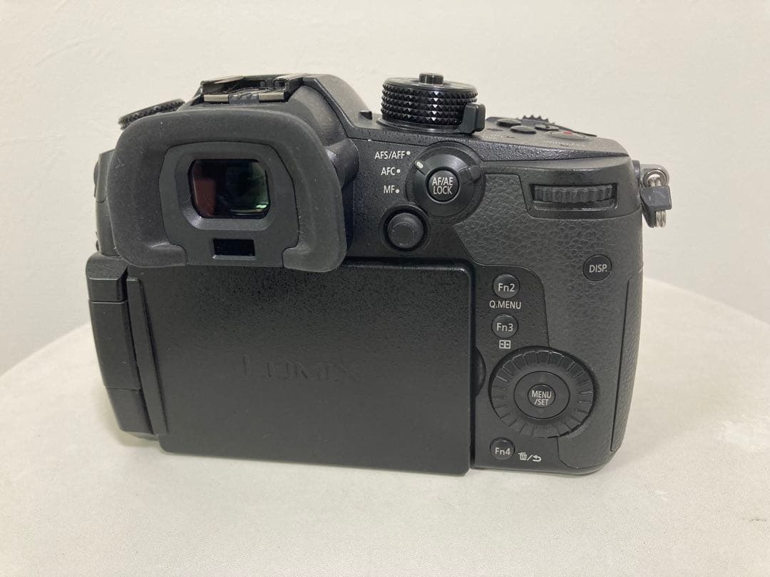 Panasonic LUMIX GH5本体＆標準ズームレンズ（12-60mm）