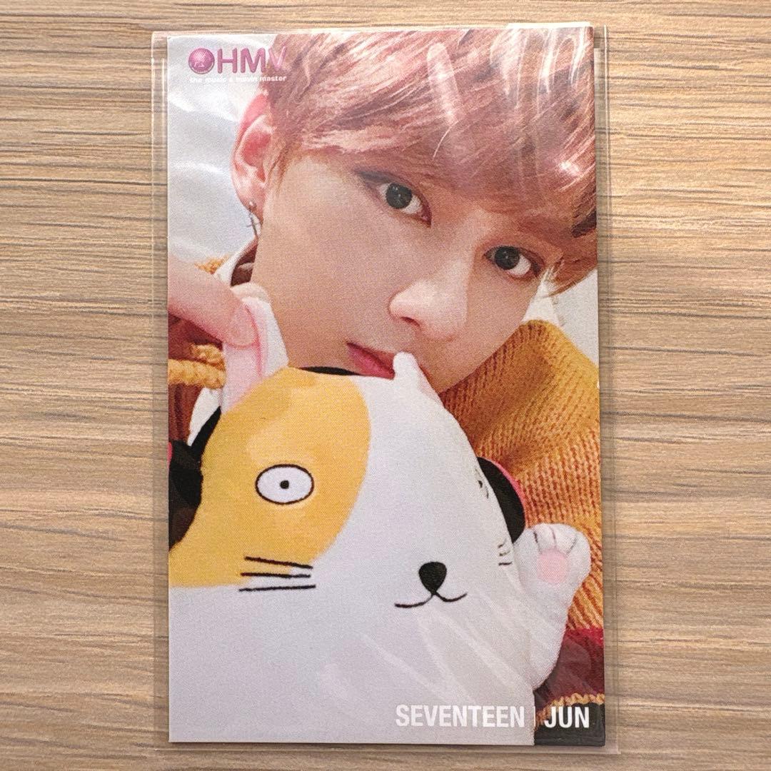 セブチ SEVENTEEN SVT 会場限定 ぬいぐるみ ジュン トレカ