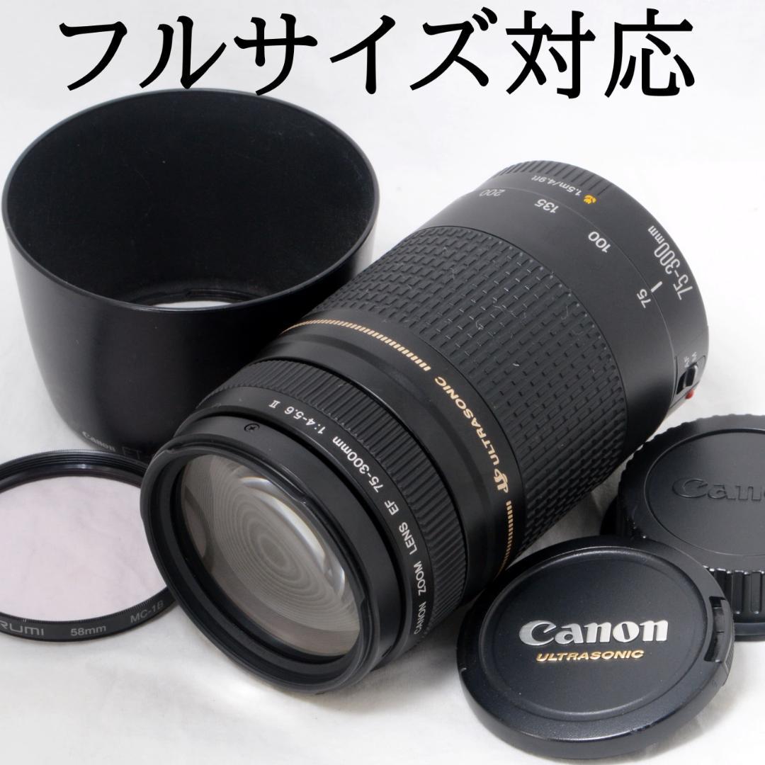 ★良品★Canon キャノン EF 75-300mm F4-5.6 Ⅱ USM