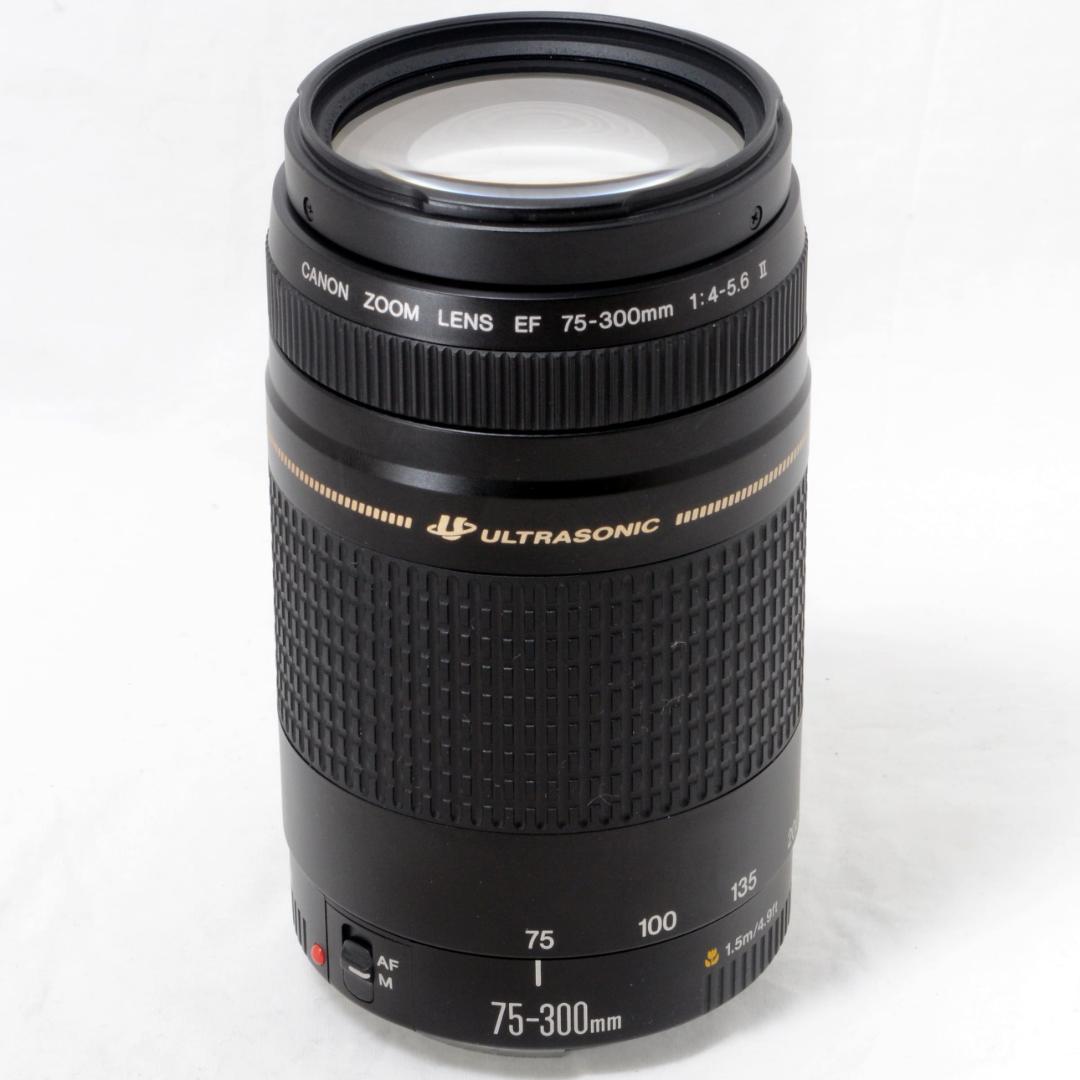 ★良品★Canon キャノン EF 75-300mm F4-5.6 Ⅱ USM