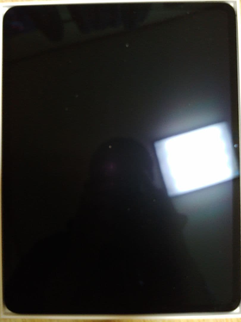 Apple　iPad Pro　13インチ　Wi-Fiモデル