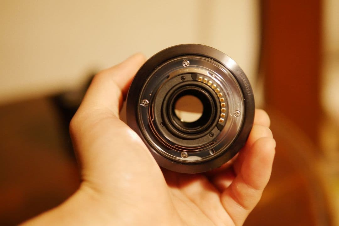 Lumix 大三元レンズ GX Vario 12-35 35-100 f2.8