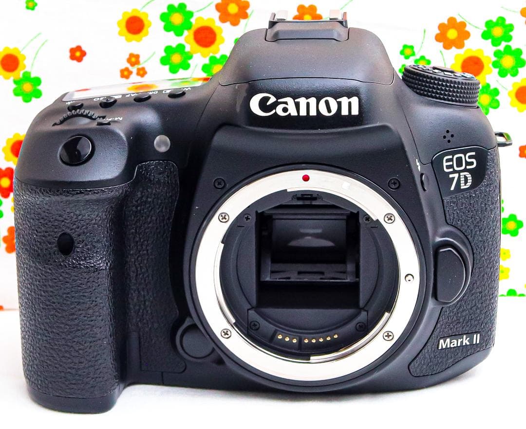 キャノン Canon EOS 7D Mark II☆スマホ転送☆ダブルレンズ