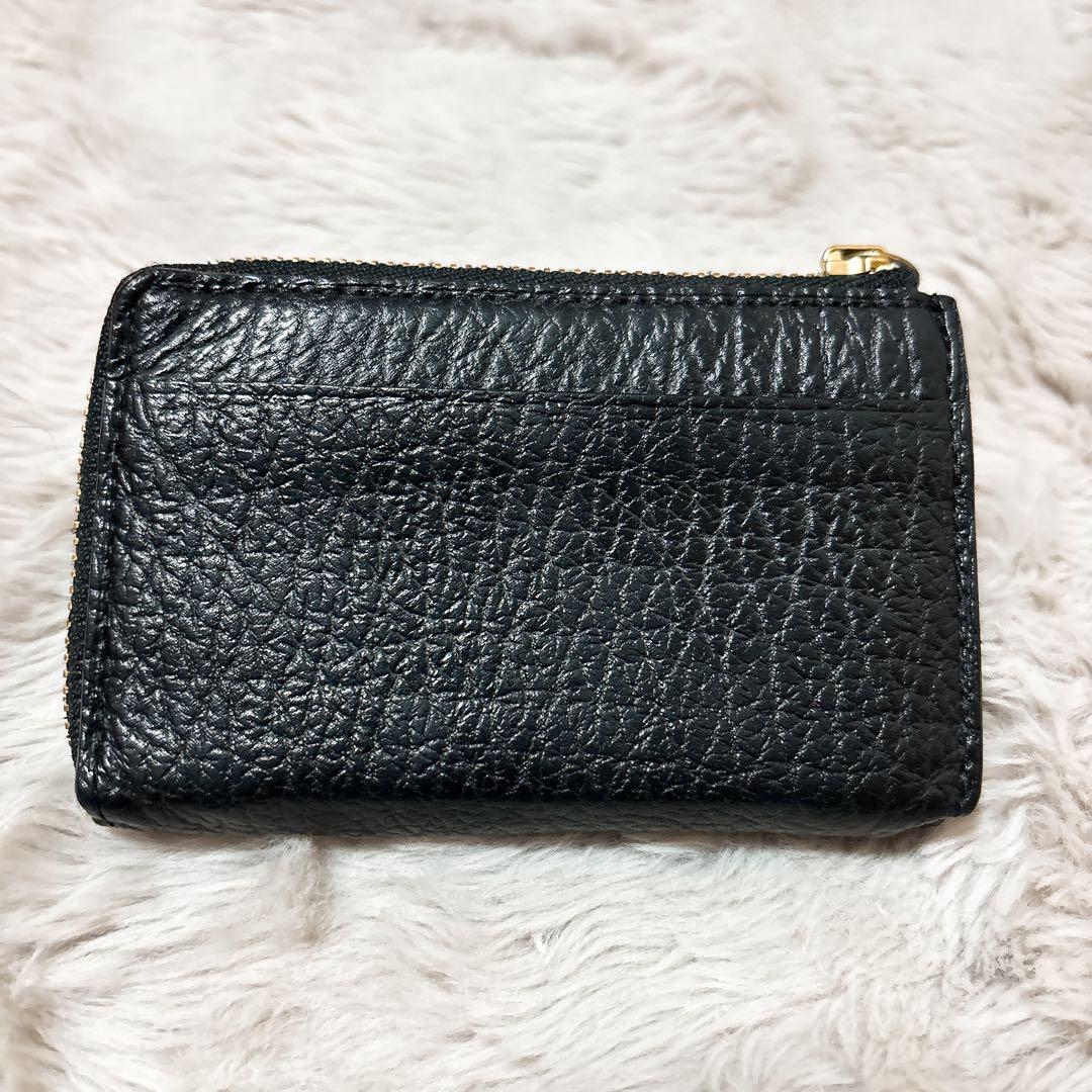 GANZO KESEMA ケース 財布 サメ革 シャークスキン