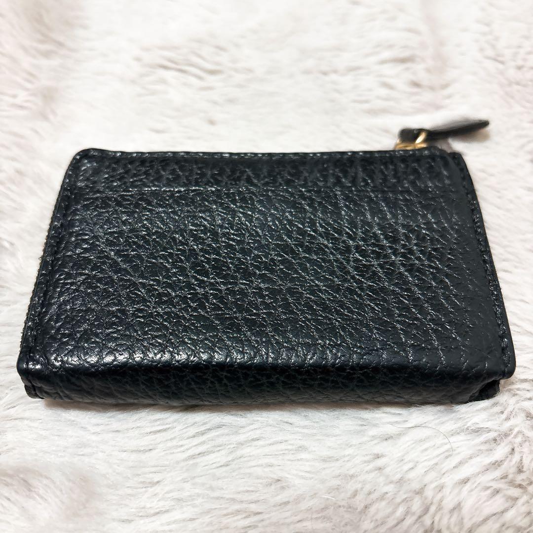 GANZO KESEMA ケース 財布 サメ革 シャークスキン