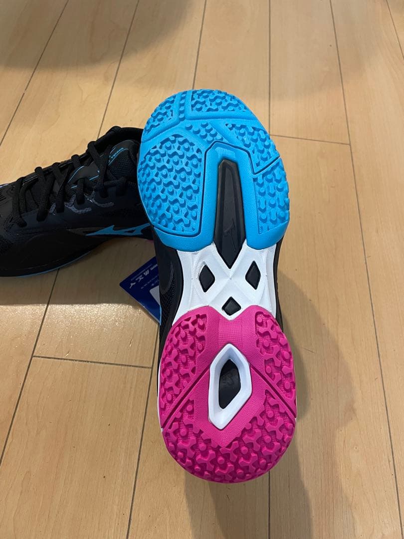 テニスシューズ ミズノ ウェーブエクシードライト２OC オムニクレー 25.5